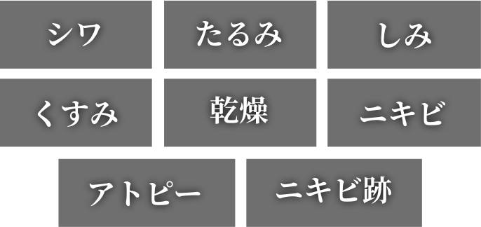 シワ・たるみ・しみ・くすみ・乾燥・ニキビ・アトピー・ニキビ跡